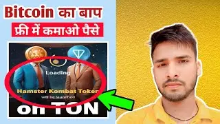 hamster kombat daily combo | hamster kombat paise kaise nikale | #hamsterkombat #hamsters #earnmoney