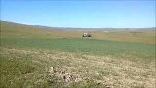 опрыскивание ячменя
