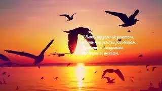 ПИЛИГРИМЫ