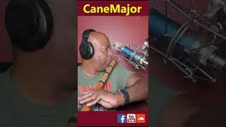 A bamboo flute solo with the Blue Microphones Bluebird SL