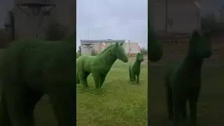 Зеленые скульптуры в Майе