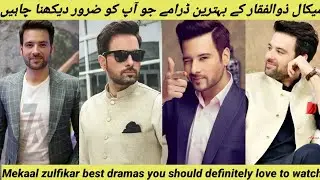 Mekaal zulfikar best dramas list by Mr loser