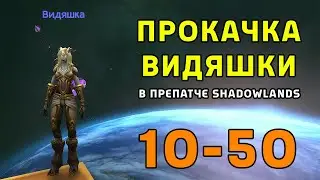 Прокачка Видяшки в препатче WOW Shadowlands - Стрим #1