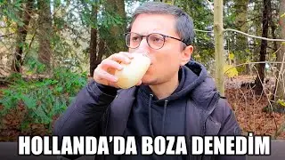 Hollanda'da Bozacı Oldu! Sıradışı Bir Başarı Hikayesi