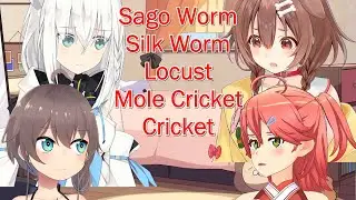 【ENG】Insect Eating Stream w/ Matsuri, Korone, Miko, & Fubuki【Hololive】