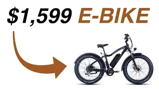 Rad Power Bikes: Radrover $1,599 Fat Tire E-Bike Review