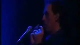 coro haciendo lluvia imperdible