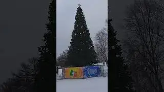 Совгавань, ГДЕ СОВЕСТЬ У ЛЮДЕЙ???