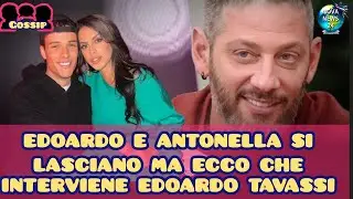 Edoardo Donnamaria e Antonella Fiordelisi si lasciano ma ecco che interviene Edoardo Tavassi