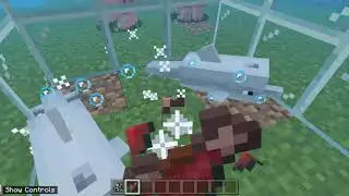 How to tame dolphin in Minecraft