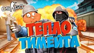 CS:GO | ТЕПЛО ТИМЕЙТА 🥵