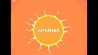 First Reaction - Sperma
