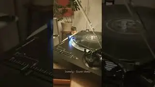 Sweely - Super deep (What's wrong EP VINYL)