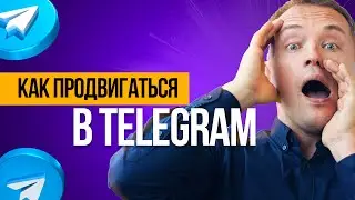 Как продвигаться в Telegram в 2024