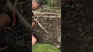 Ще один спосіб ловлі хробаків