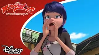 🐞 Choroba | Miraculous: Biedronka i Czarny Kot | Disney Channel Polska