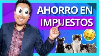 👉 ¿Cómo PAGAR MENOS impuestos?🤔🤔