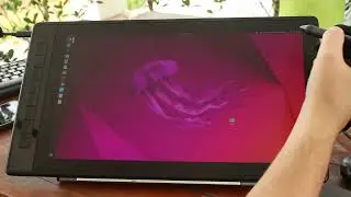 Kamvas Pro 16 (2 5K) drawing tablet demo in Windows 11, Ubuntu 22.04