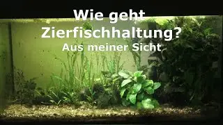 Wie geht Zierfischhaltung?