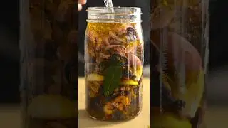 I Filled A Jar With Tiny Octopus