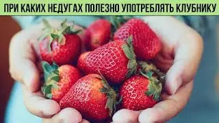 Вот при каких НЕДУГАХ полезно употреблять КЛУБНИКУ Польза клубники для организма человека