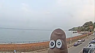Fred the finger on Dawlish Beach Cam