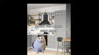 Плов: выходной день