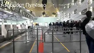 Аэропорт Пулково) Санкт-Петербург