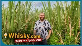 Neisson Distillery Visit | Meet the Neisson Distillery