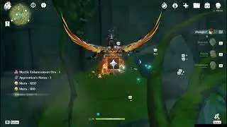 Opening Chest From Searching 76 Aranara