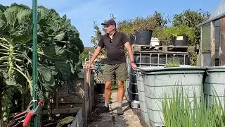 September allotment & polytunnel tour ~ the replanting begins!