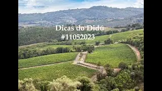 Dicas do Didú #11052023