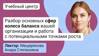 Разбор основных сфер колеса баланса вашей организации и работа с потенциальными точками роста