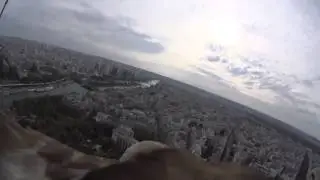 Париж с высоты полёта орла