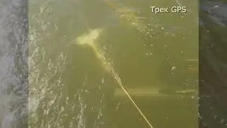 БГБО 