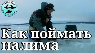 Как поймать налима. Первый опыт.