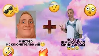 мистер исключительный но его жмыхануло милохиным