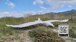 Águia RC Impressão 3D || Primeiro voo Maiden Flight (EN subtitles)