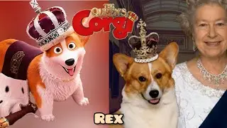 The Queen's Corgi Characters in Real Life 👑 | 👉