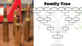 Ranking the 30-06 Family Tree!