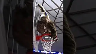 The Secret to the NBA Mascot's High Salary 