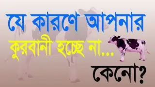 যে কারণে আপনার কুরবানী হচ্ছে না। শুনুন, কেনো? That is why you are not being sacrificed. Eid kurbani
