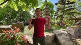Slava Popov vídeo (gravado em 06/05)\