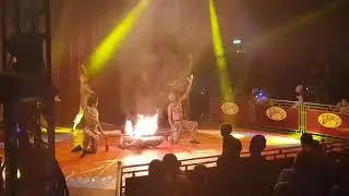 Zippos Circus Limbo Dance 2020