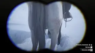 RDR 2 - УМЕНЬШАЮТСЯ ЛИ ЯЙЦА КОНЯ НА МОРОЗЕ?