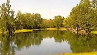 3147.mp4
