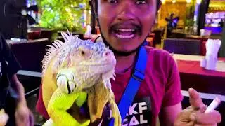 Chaweng Beach Koh Samui Nightlife