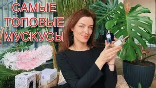 САМЫЕ ТОПОВЫЕ МУСКУСЫ МОЕЙ КОЛЛЕКЦИИ.TUTU BLANC,BYREDO, PURE EVE, MUSK KASHMIR