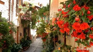 UMBRIA - SPELLO IN FIORE 2020 - 4k