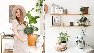 APARTMENT PLANT TOUR 2020